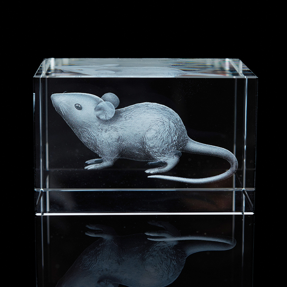 Лазерная графика. Куб «Восточный гороскоп. Крыса» - интернет магазин Русь Велика я 