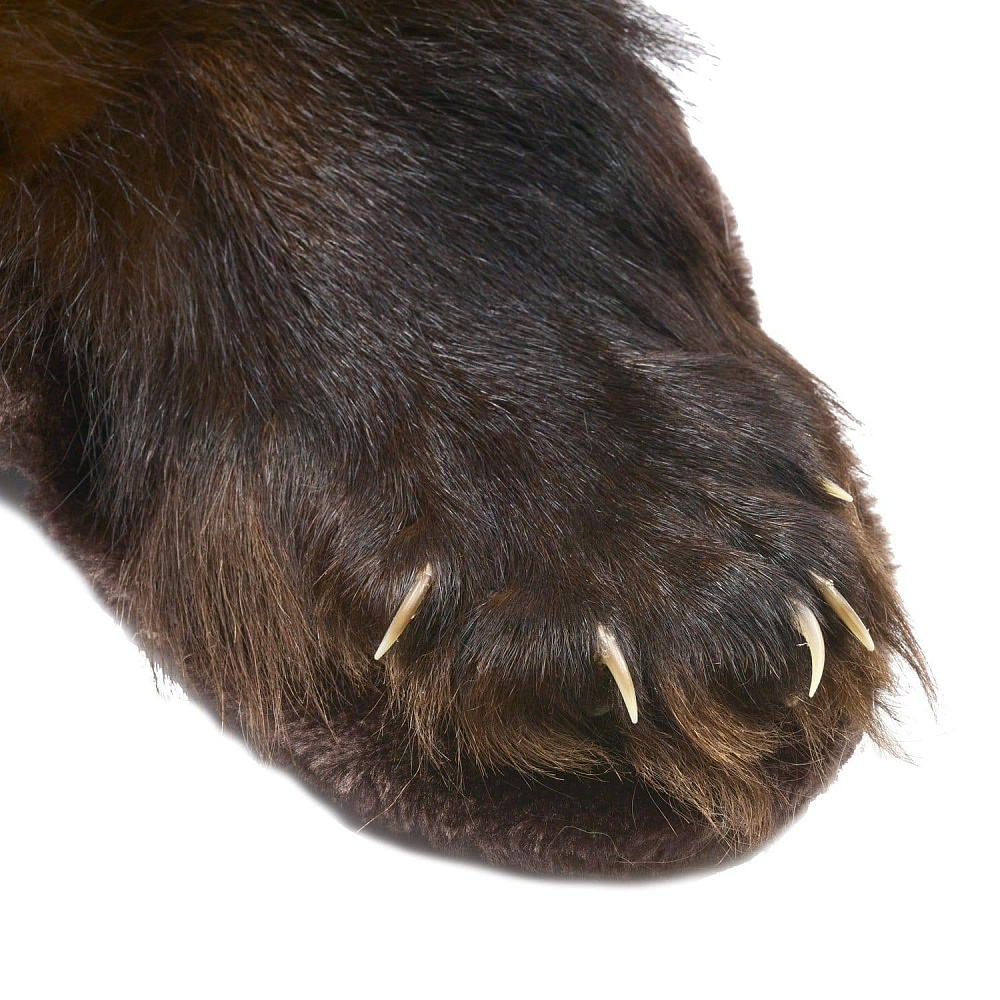 Ковер из шкуры росомахи - интернет магазин Русь Велика я фото 1