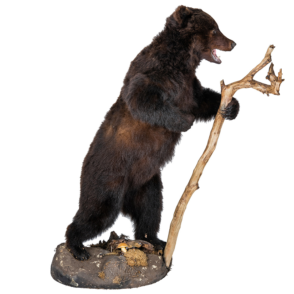 Чучело медведя с посохом - интернет магазин Русь Велика я фото 1