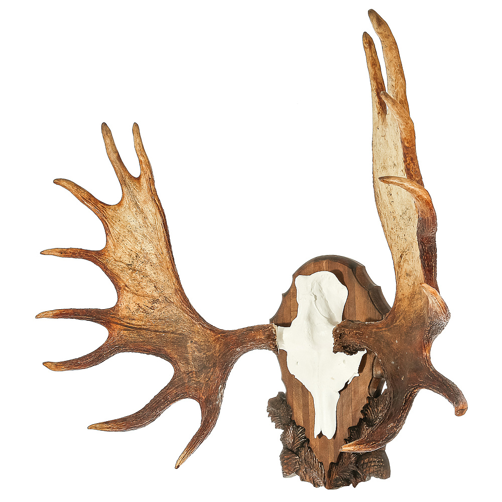 Рога лося на медальоне - интернет магазин Русь Велика я фото 4