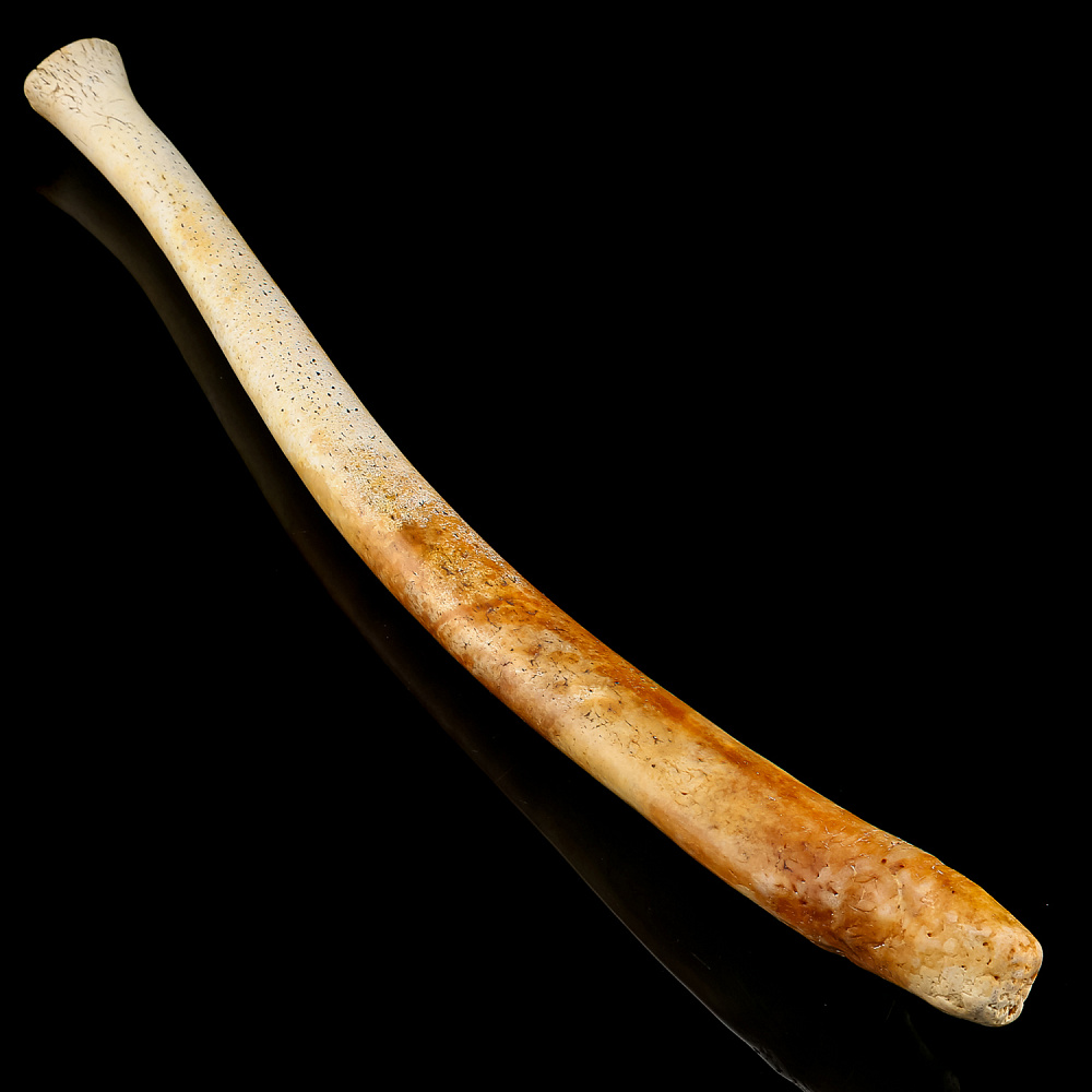 Чукотская булава из кости моржа - интернет магазин Русь Велика я фото 3