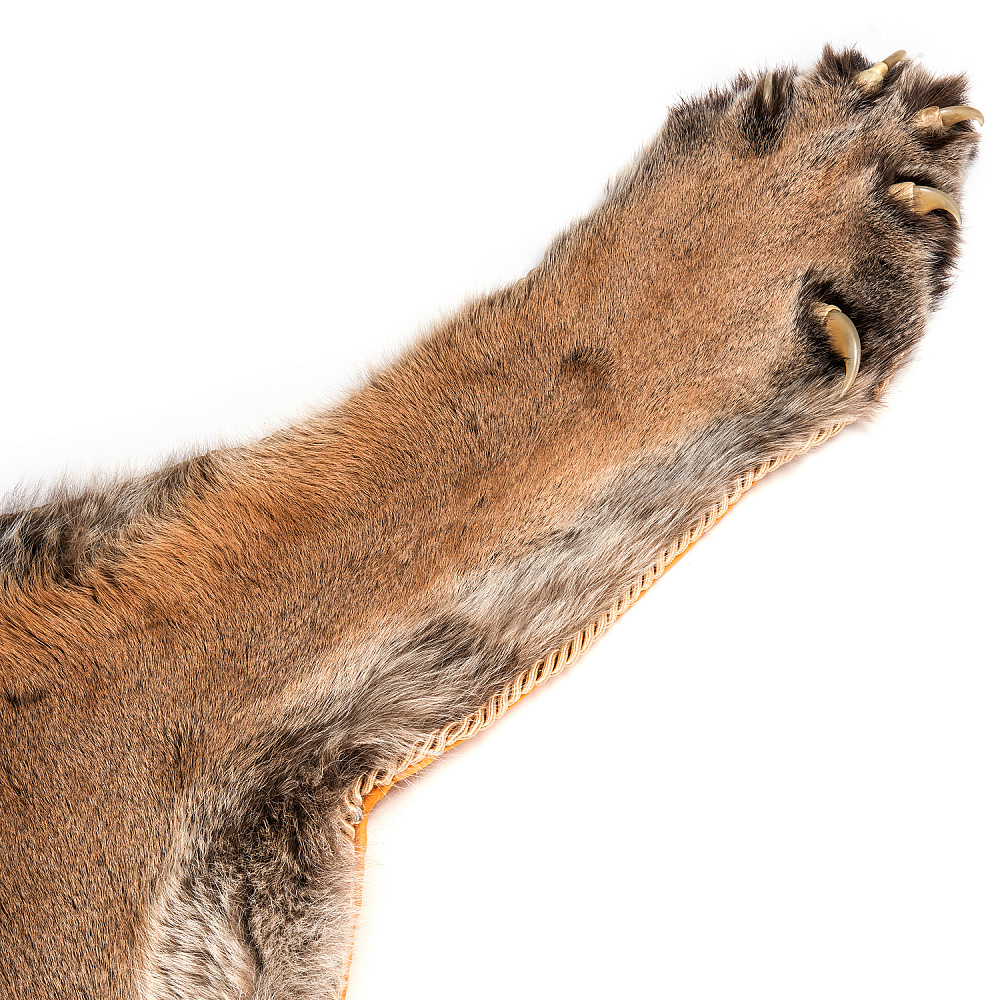 Ковер из шкуры пумы - интернет магазин Русь Велика я фото 3