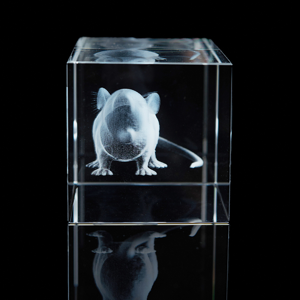 Лазерная графика. Куб «Восточный гороскоп. Крыса» - интернет магазин Русь Велика я фото 2