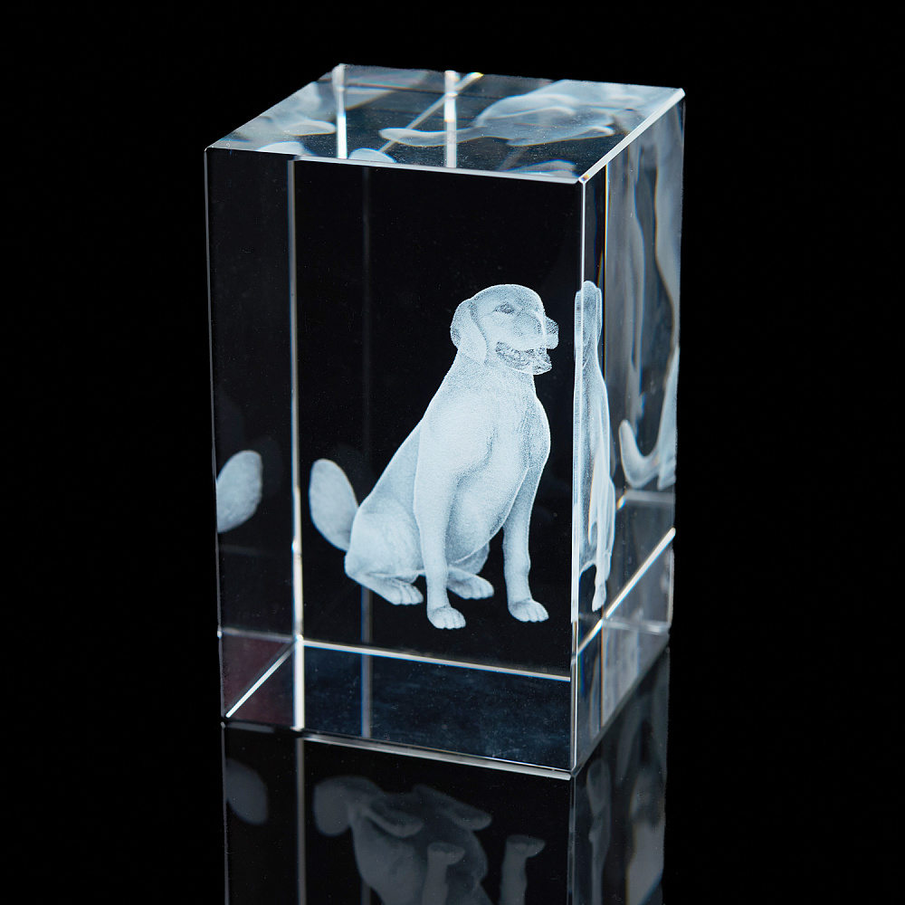 Лазерная графика. Куб «Восточный гороскоп. Собака» - интернет магазин Русь Велика я фото 1