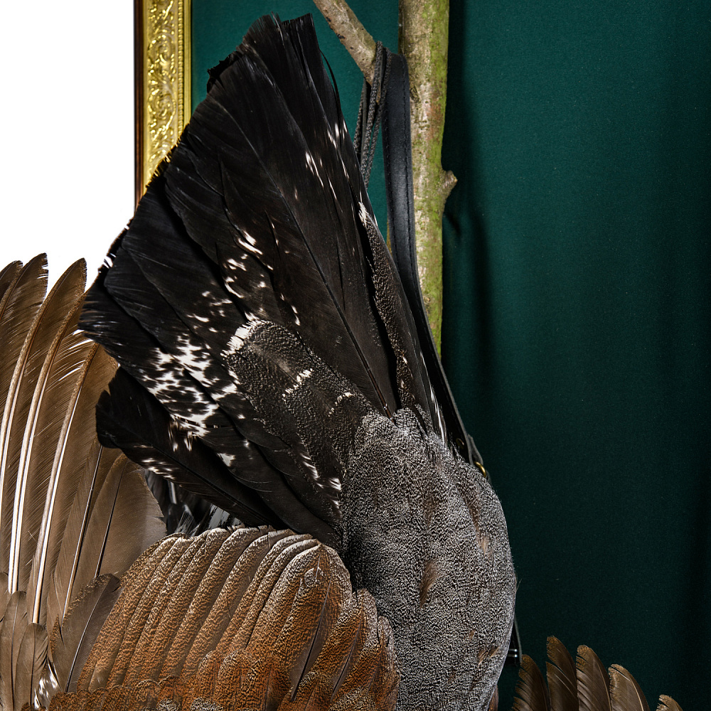 Чучело настенное «Глухариные трофеи» - интернет магазин Русь Велика я фото 8