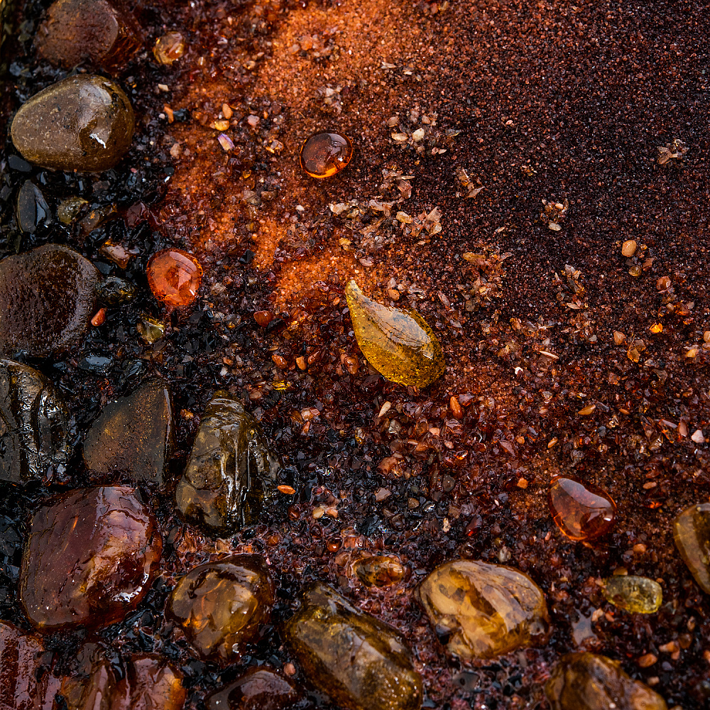 Картина янтарная «Щенок боксера в осеннем лесу» 60х40 см - интернет магазин Русь Велика я фото 7