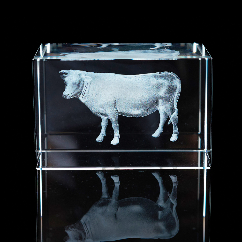 Лазерная графика. Куб «Восточный гороскоп. Бык» - интернет магазин Русь Велика я 