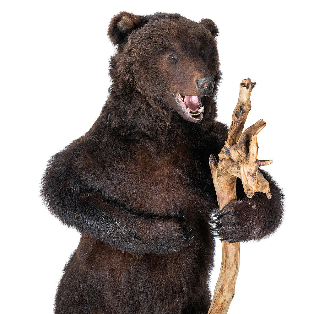 Чучело медведя с посохом - интернет магазин Русь Велика я фото 2