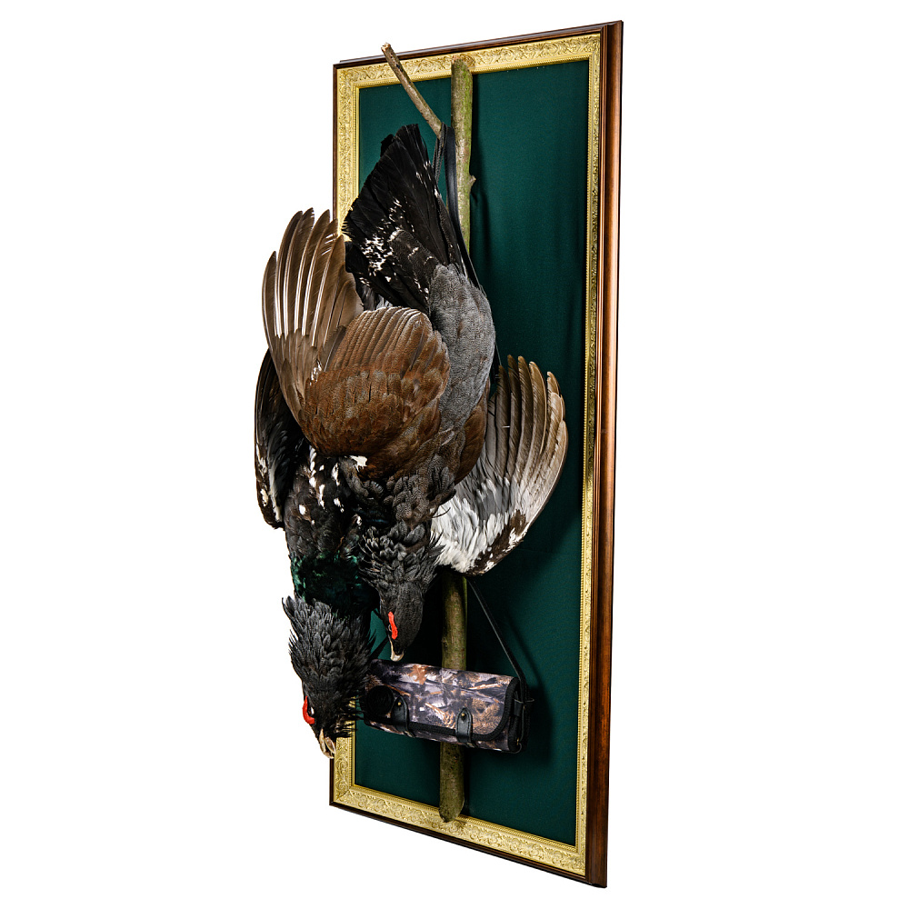 Чучело настенное «Глухариные трофеи» - интернет магазин Русь Велика я фото 2