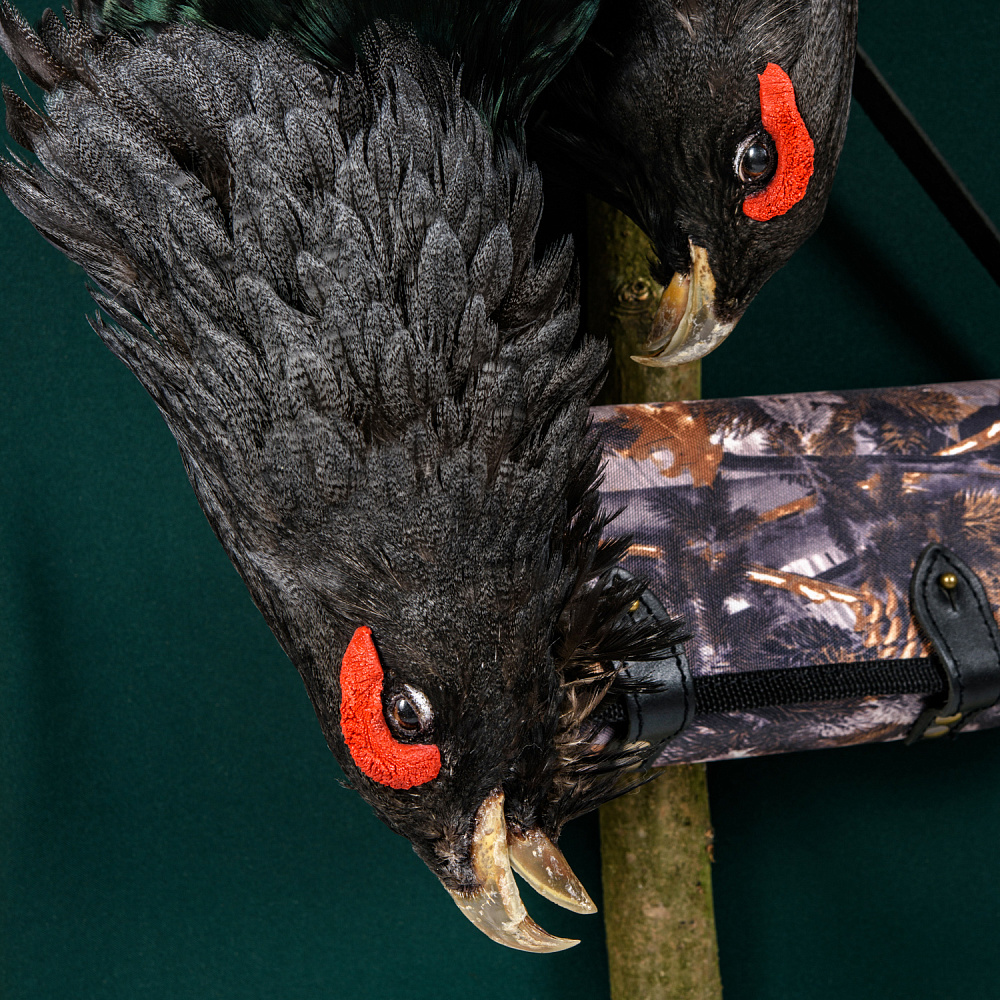 Чучело настенное «Глухариные трофеи» - интернет магазин Русь Велика я фото 3