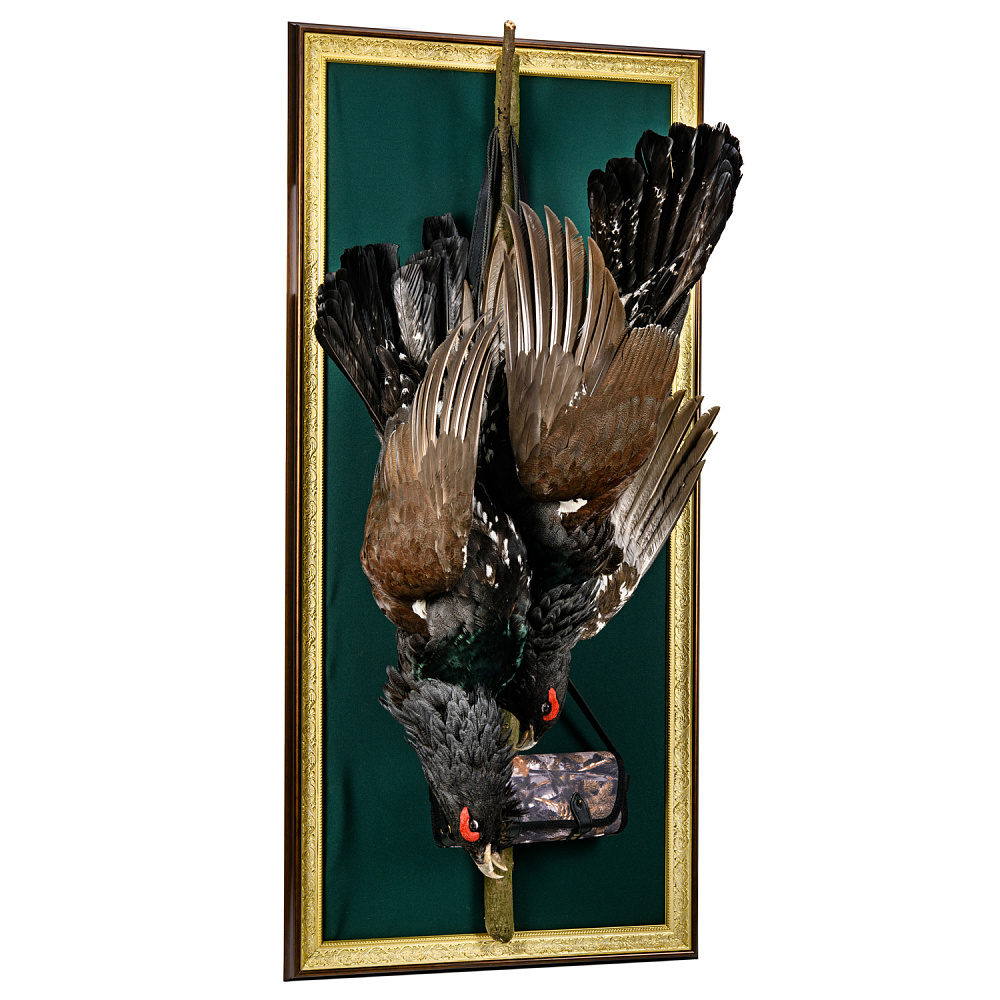 Чучело настенное «Глухариные трофеи» - интернет магазин Русь Велика я фото 1