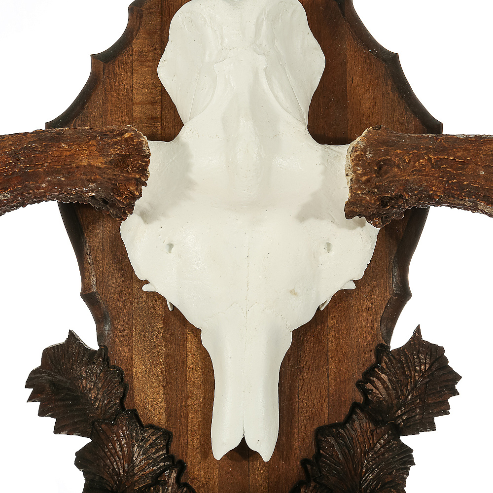 Рога лося на медальоне - интернет магазин Русь Велика я фото 2