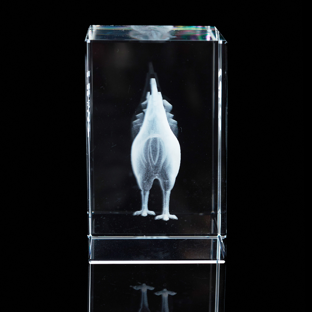 Лазерная графика. Куб «Восточный гороскоп. Петух» - интернет магазин Русь Велика я фото 2