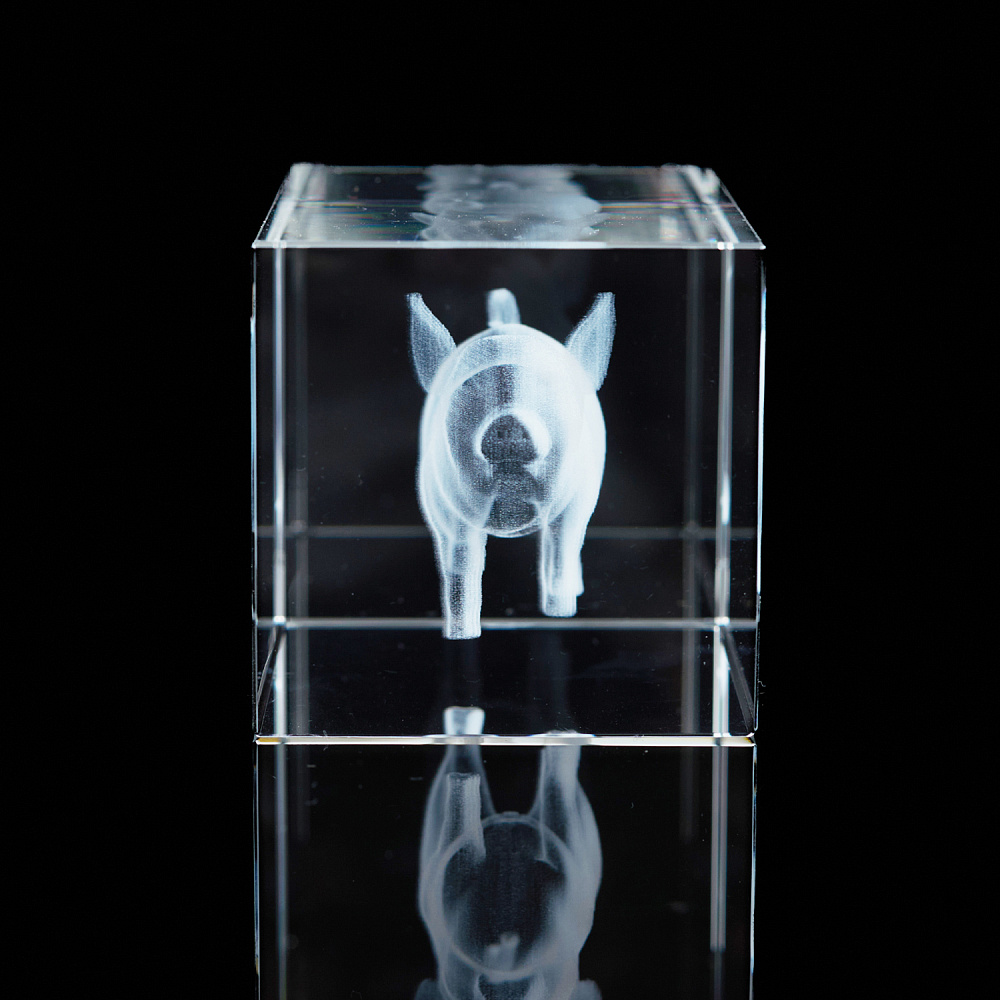 Лазерная графика. Куб «Восточный гороскоп. Свинья» - интернет магазин Русь Велика я фото 3