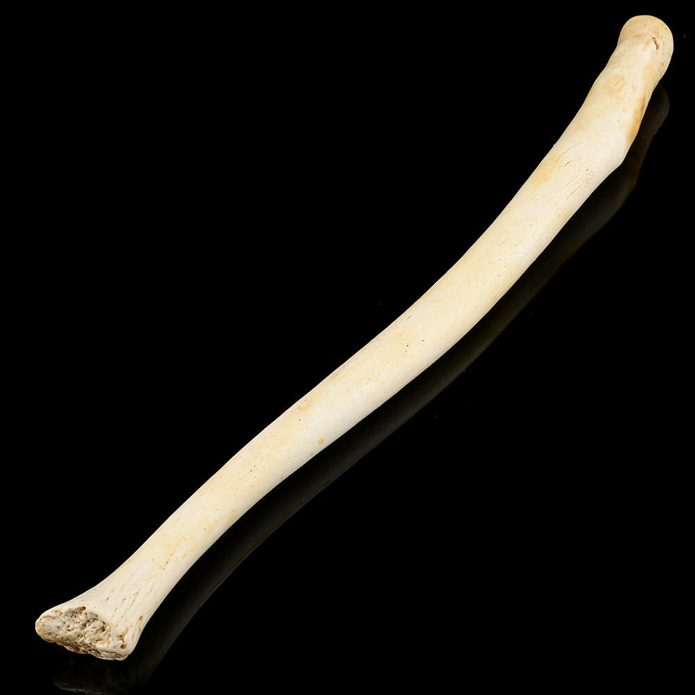 Чукотская булава из кости моржа - интернет магазин Русь Велика я 