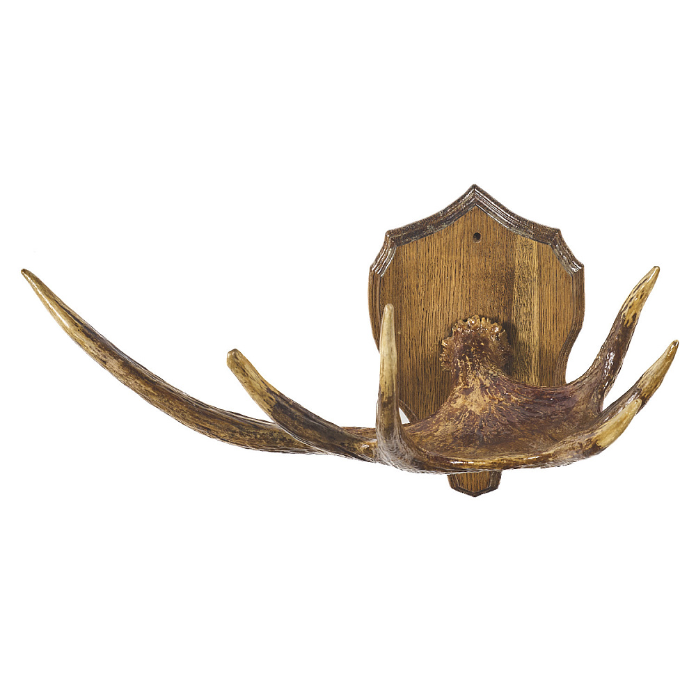 Таксидермия. Рога лося под вешалку на медальоне - интернет магазин Русь Велика я фото 2