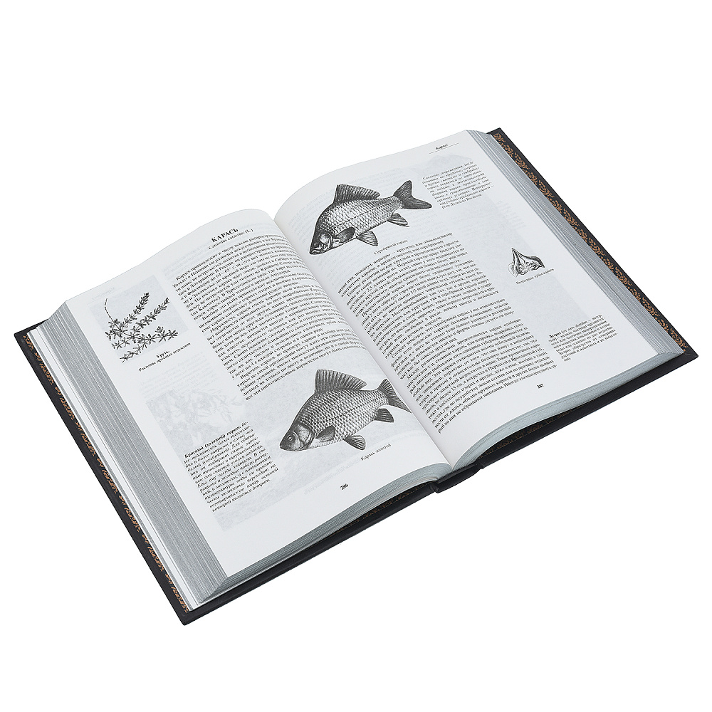 Подарочная книга «Жизнь и ловля пресноводных рыб» - интернет магазин Русь Велика я фото 4