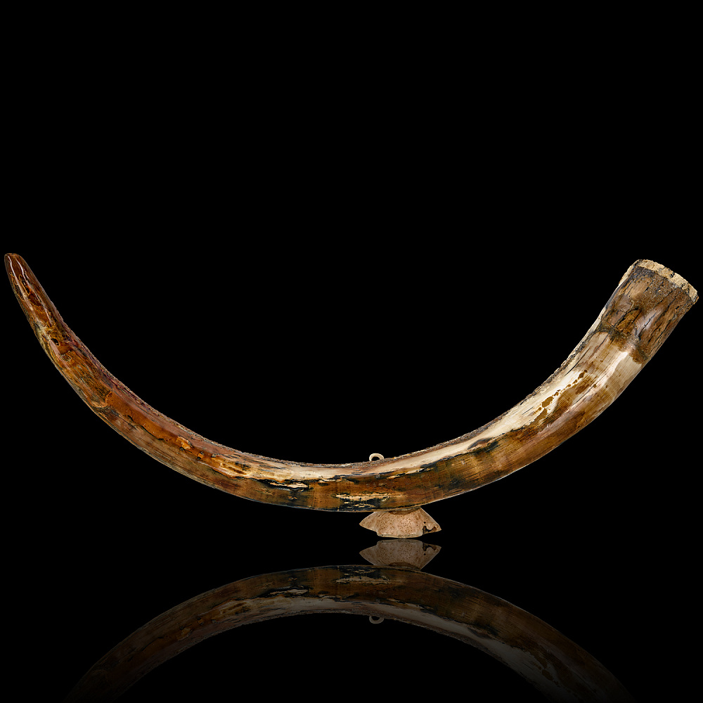 Композиция из бивня мамонта «Охота первобытных людей» - интернет магазин Русь Велика я фото 6