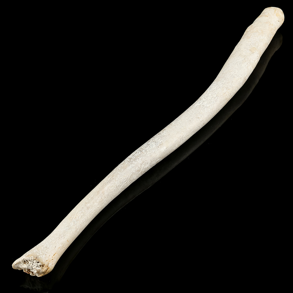 Чукотская булава из кости моржа - интернет магазин Русь Велика я 