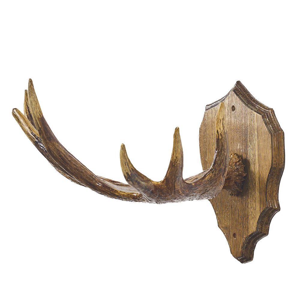 Таксидермия. Рога лося под вешалку на медальоне - интернет магазин Русь Велика я фото 3
