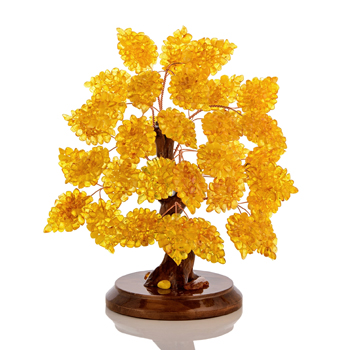 Денежные деревья