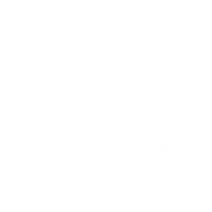 Северная чернь
